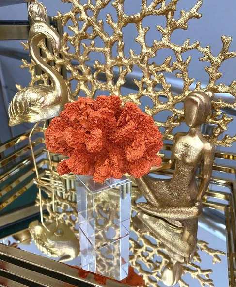 KRISTALLİ MERCAN TURUNCU RENK ürün görseli 1