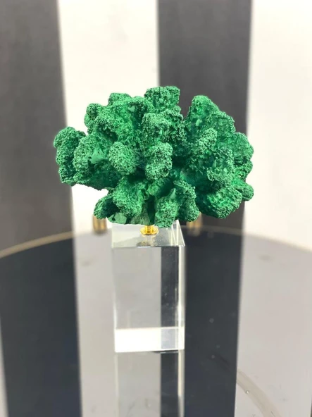 KRİSTALLİ MERCAN YEŞİL RENK - 3