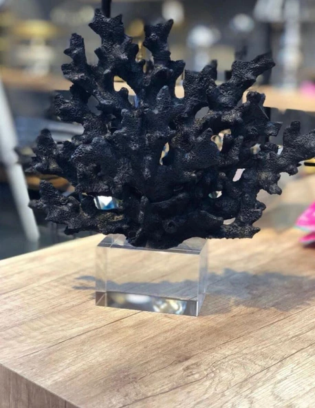 Dekoratif Krıstal Kaideli Mercan - 3