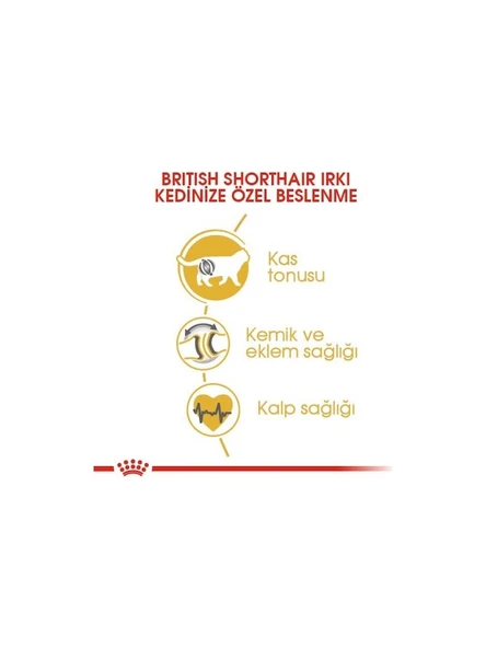 Royal Canin British Shorthair Için Kuru Kedi Maması 4 kg - Resim 3