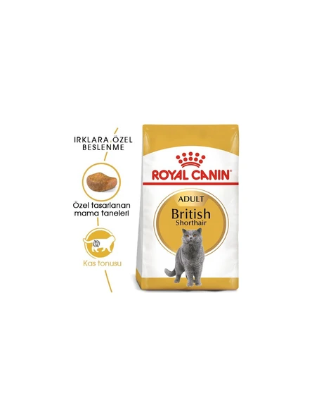 Royal Canin British Shorthair Için Kuru Kedi Maması 4 kg ürün görseli