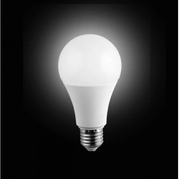 12 W LED AMPÜL - 2