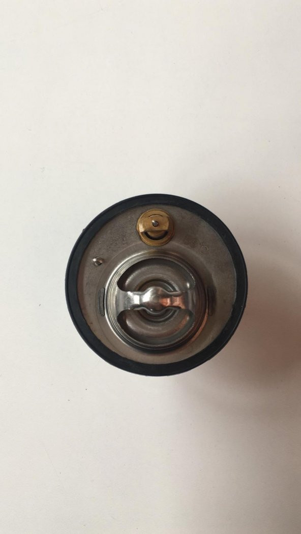 TERMOSTAT E2200 97-99/BESTA 86-98 (88 DERECE) - 1