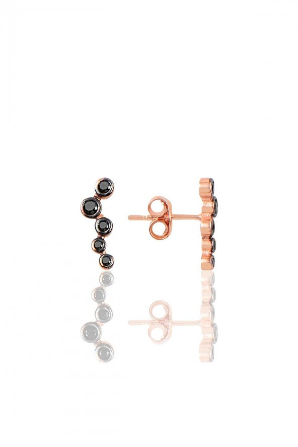 Gümüş sıra taşlı küpe ürün görseli 1