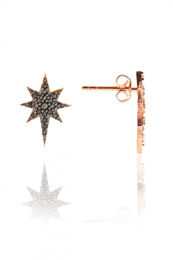 Gümüş siyah taşlı kutup yıldızı küpe