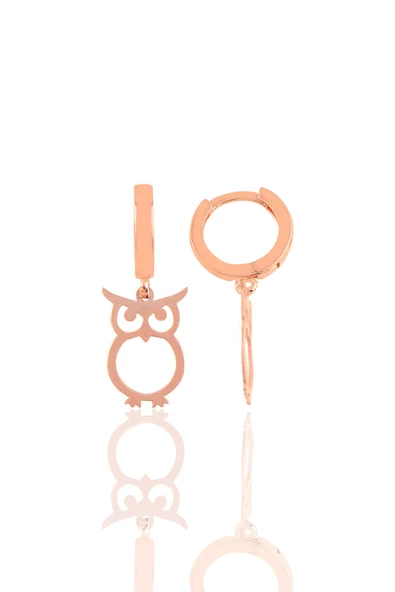 Gümüş baykuş küpe SGTL10352