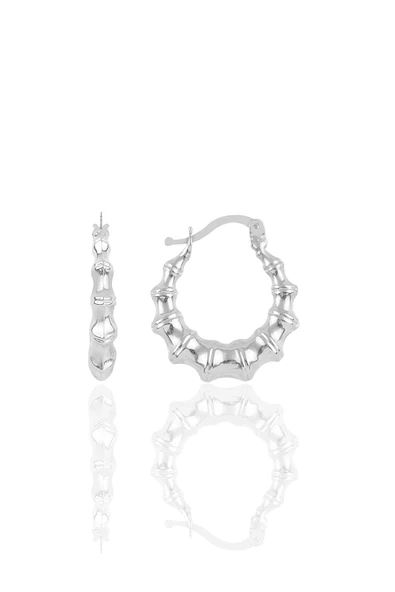 Gümüş altın yaldızlı tırtıl şarnel küpe - 3