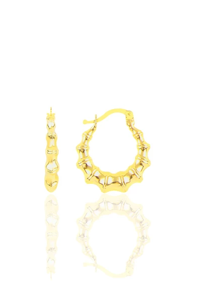 Gümüş altın yaldızlı tırtıl şarnel küpe - 2