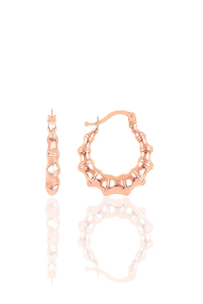 Gümüş altın yaldızlı tırtıl şarnel küpe