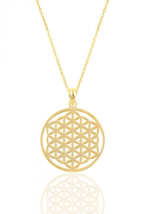 Gümüş altın yaldızlı  yaşam çiçeği kolye