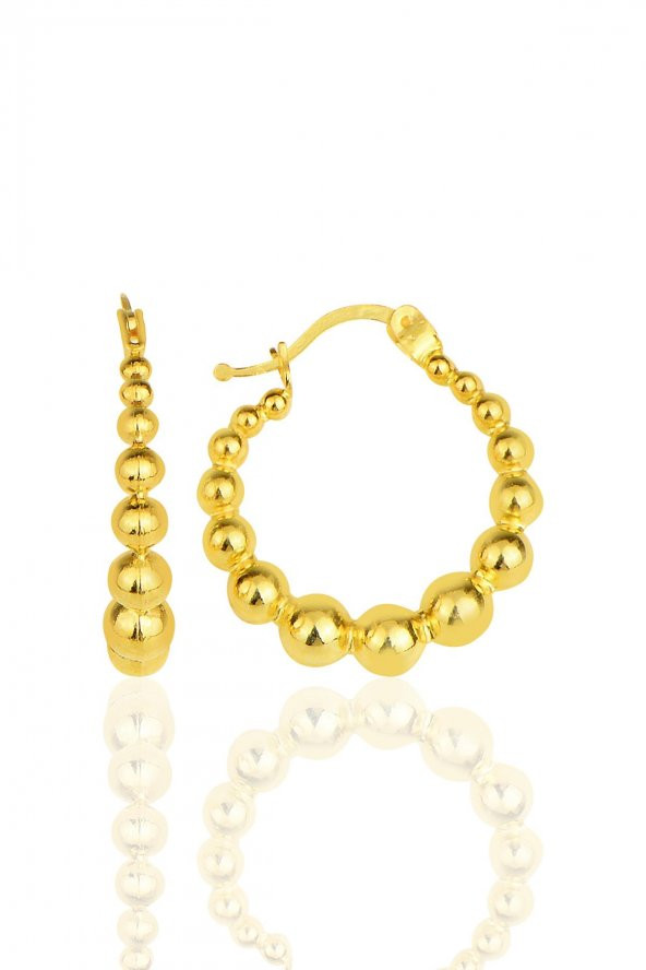 Gümüş altın yaldızlı toplu şarnel halka küpe ürün görseli 1