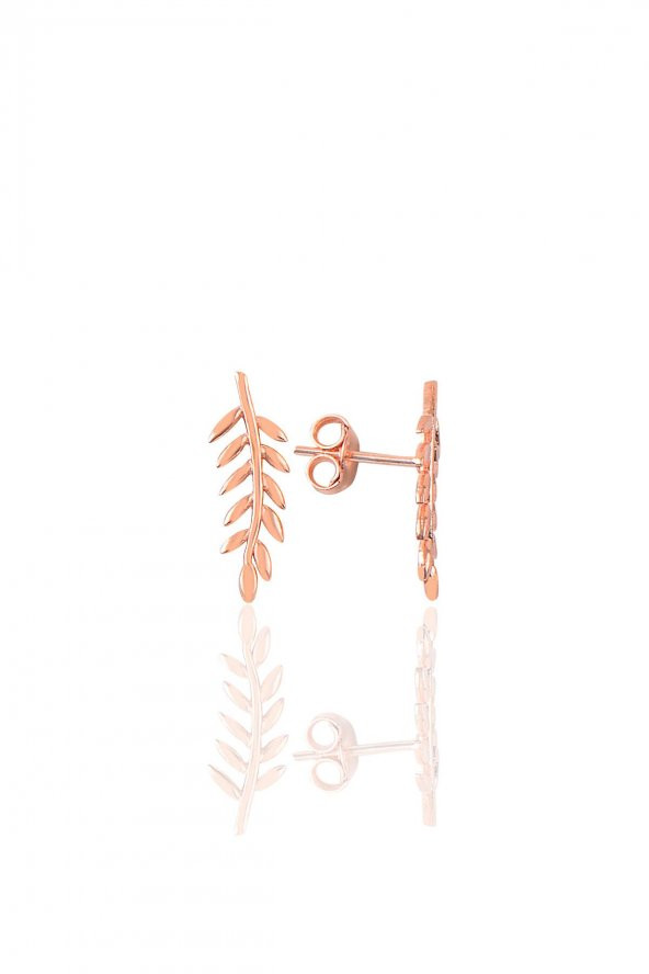 Gümüş rose yaprak üçlü set - Resim 4