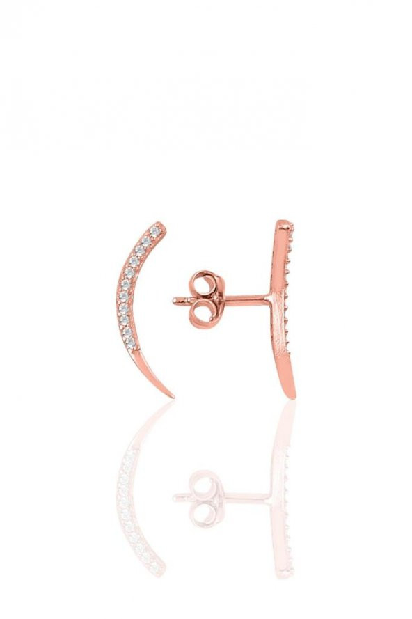 Gümüş rose zirkon taşlı Ay modeli küpe ürün görseli 1