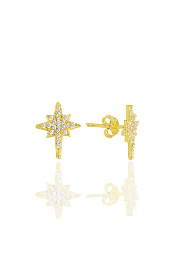 Gümüş altın yaldızlı zirkon taşlı  kutup yıldızı  küpe ürün görseli