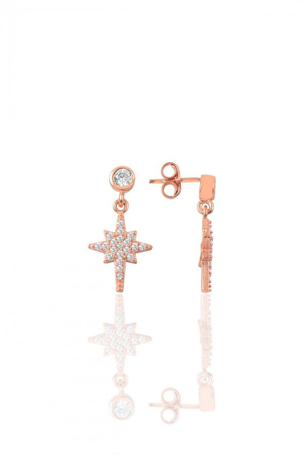 Gümüş rose zirkon taşlı kutup yıldızı küpe ürün görseli