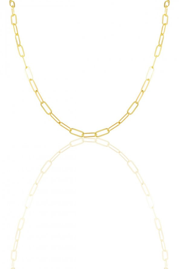 Gümüş  ataç zincir. SGTL11629 - 2