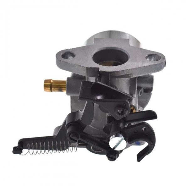 Briggs & Stratton 750 DOV Karbüratör - 2
