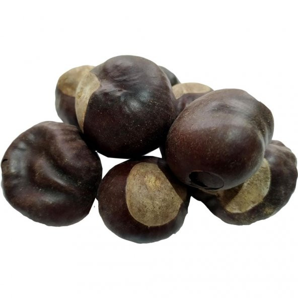 Doğal At Kestanesi Meyvesi Tane Atkestanesi Bitkisi 100GR - 5