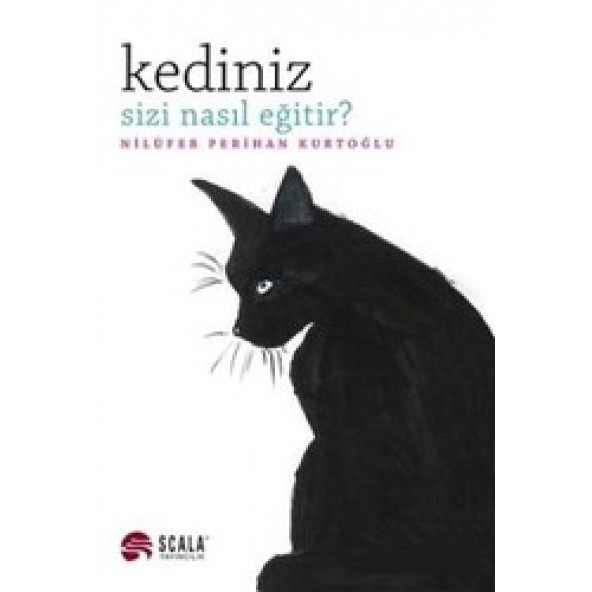 Kediniz Sizi Nasıl Eğitir?
