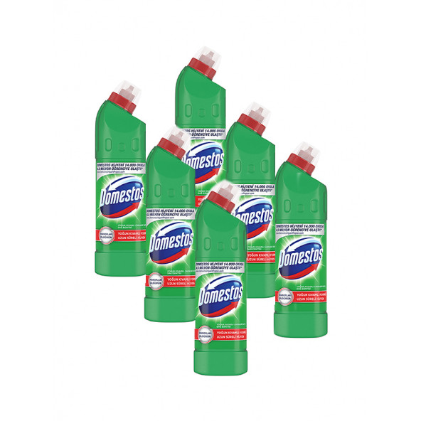 Domestos Çamaşır Suyu 750 ml Dağ Esintisi, 6' lı