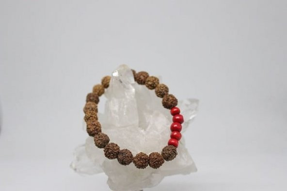 Rudraksha Tohum Bileklik 8mm - Resim 2