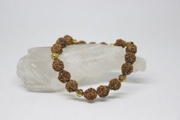 Rudrashka Tohum Bileklik 8mm - Resim 2