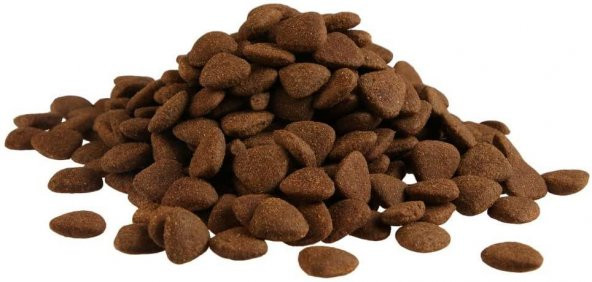 Fitmin 50 Taze Tavuk Etli Orta Irk Yetişkin Köpek Maması 3 Kg - 2