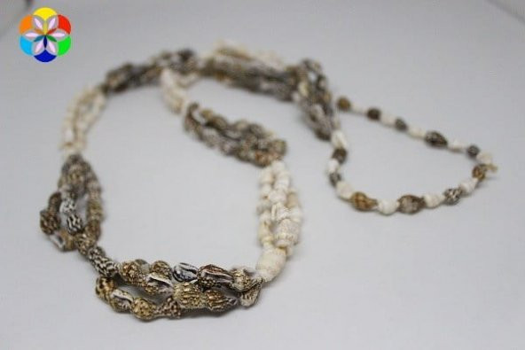 Deniz Kabukları Kolye 80cm - Resim 5