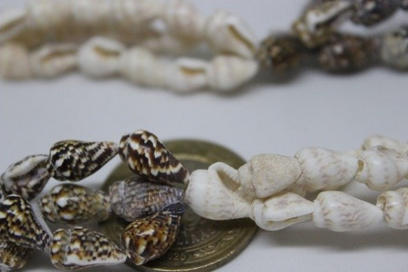 Deniz Kabukları Kolye 80cm - Resim 10