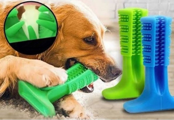 Köpek Diş Fırçası Isırma Aparatı Büyük Boy - 2