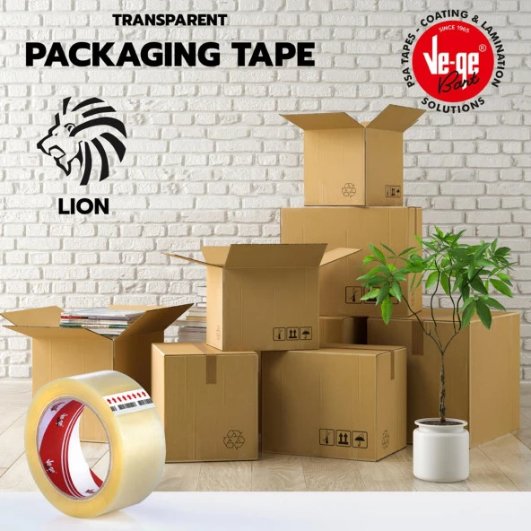 Vege Aslan Koli Bandı 45x100 Metre 48 Adet - 2