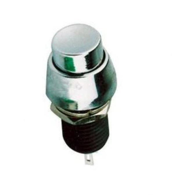 PLASTİK BUTON (METAL GÖRÜNÜMLÜ)