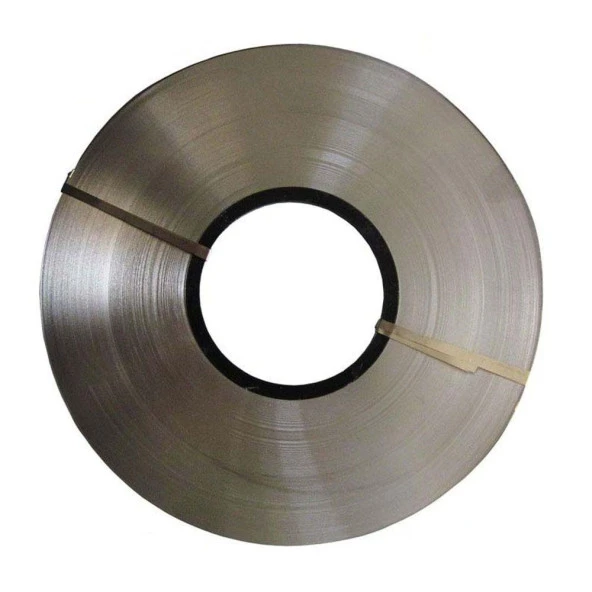 Nikel Şerit 1P Punto İnce 18650 Pil Punta 5x0.10mm (1 Metre) - 2