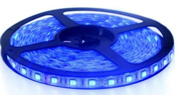 Şerit Led Mavi 60 Led 5m ürün görseli