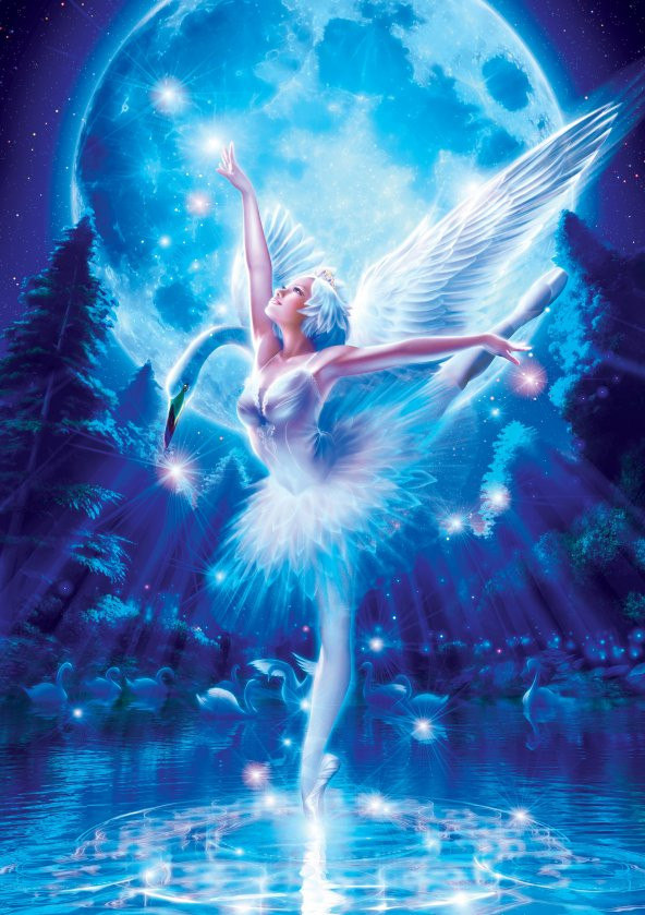Art Puzzle Kuğu Gölü Balesi 1000 Parça Puzzle - 2