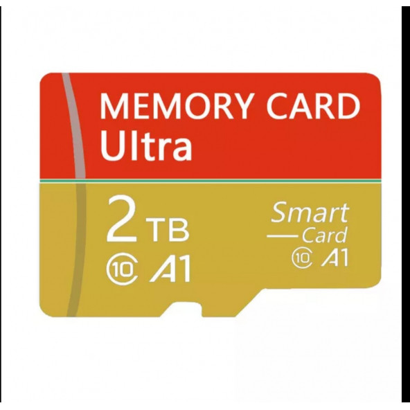 Micro 2 TB Hafıza Kartı