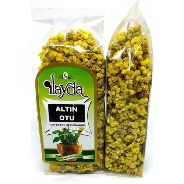 Ilayda Altın Otu