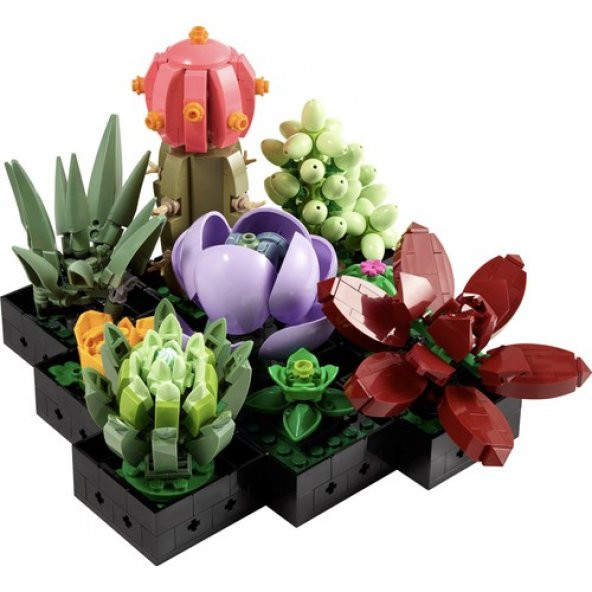 LEGO Creator Expert 10309 Succulents