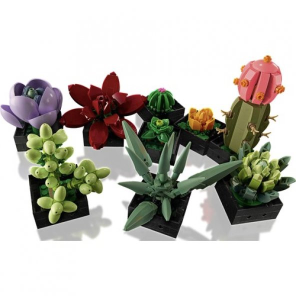 LEGO Creator Expert 10309 Succulents - 3