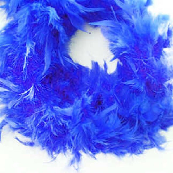 OTRİŞ KAZ TÜYÜ LİLA 2 MT 1 PAKET ürün görseli