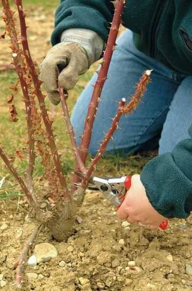 Felco 10 Budama Makası 21cm Sol By-Pass - 4