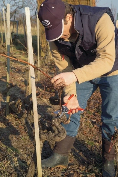 Felco 11 Budama Makası 21cm Sağ By-Pass - 4