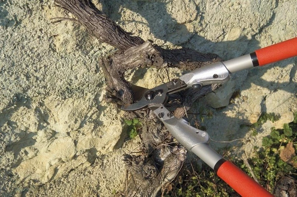 Felco 200A-40 Dal Budama Makası 40cm Alüminyum Çift El - 3