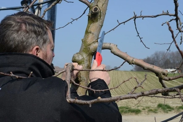 Felco 600 Budama Testeresi Katlanır 16cm - 3