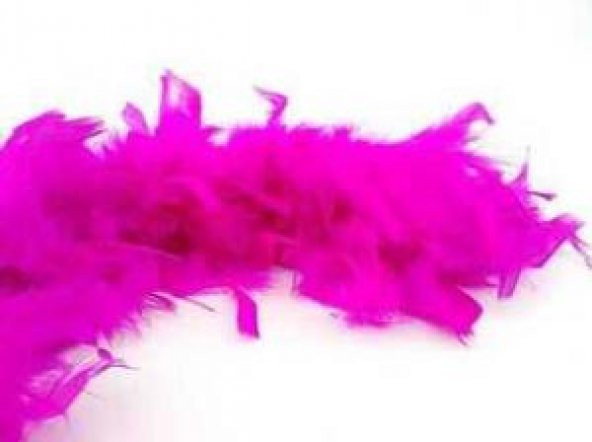 OTRİŞ KAZ TÜYÜ FUŞYA 2 MT 1 PAKET ürün görseli