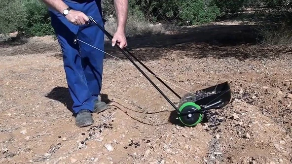 Felipe Borras 1ESP Toplama Makinası Dip Zeytin 35cm - 3