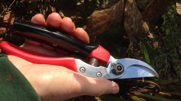 ARS VS-8R Budama Makası Döner Sap 20cm By-Pass - 2