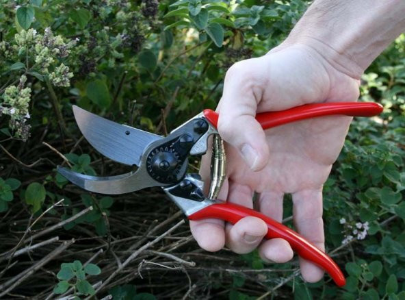 Felco 11 Budama Makası ve Felco 600 Budama Testeresi - 2
