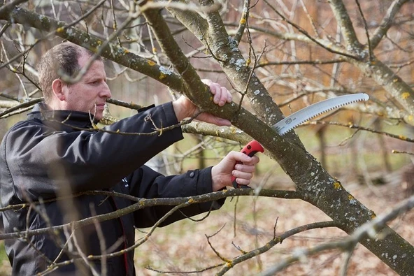 Felco 630 Budama Testeresi Kavisli 33cm - 3