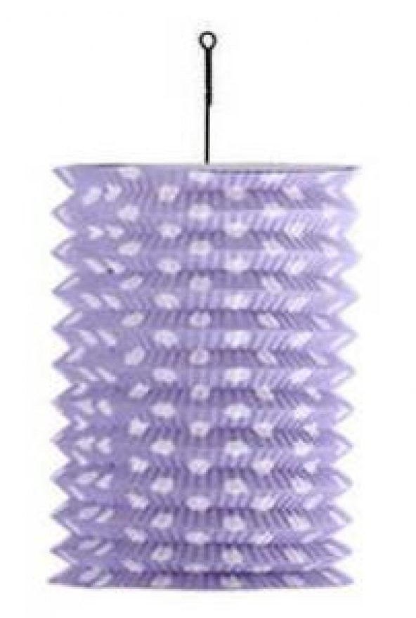 FENER AKORDİYON LİLA 1 ADET ürün görseli